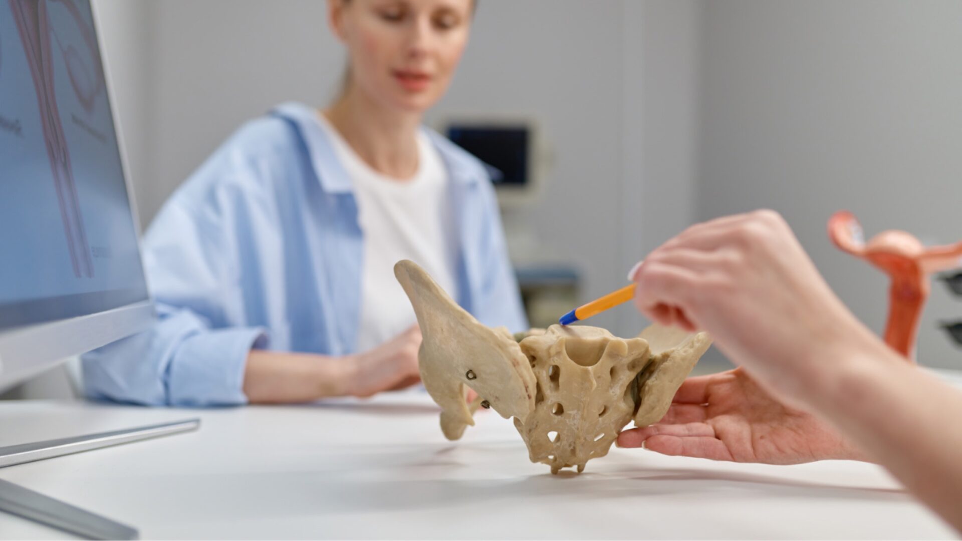Beckenboden und Physiotherapie