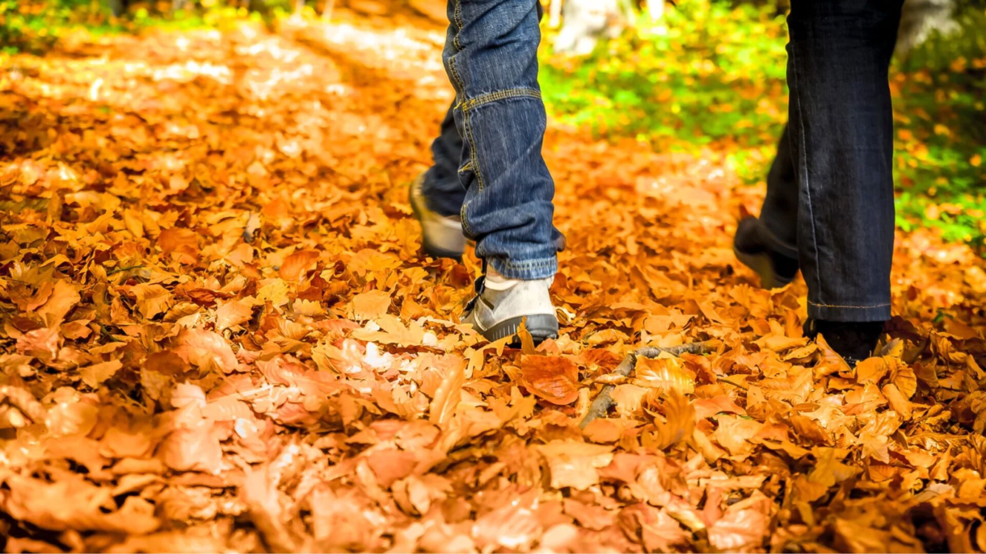 Herbstfit
